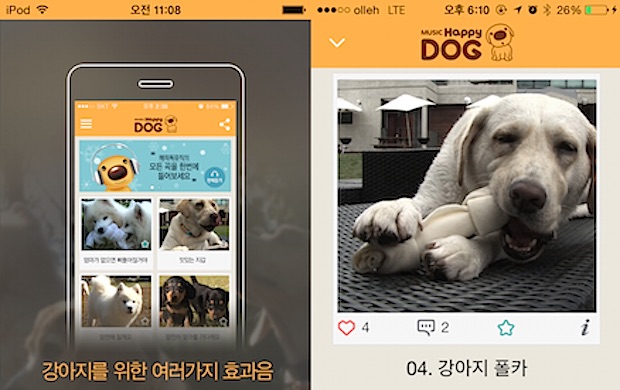 ペット犬が聴く音楽アプリ Happy Dog Musicシリーズ第1弾 散歩編 が韓国で発売 Bridge ブリッジ テクノロジー スタートアップ情報
