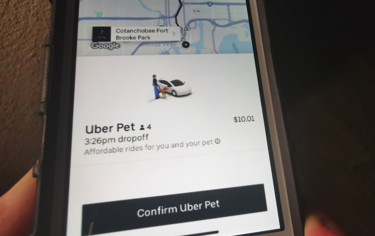 Uber、ペットと一緒に乗車できる「Uber Pet」をアメリカでローンチ 