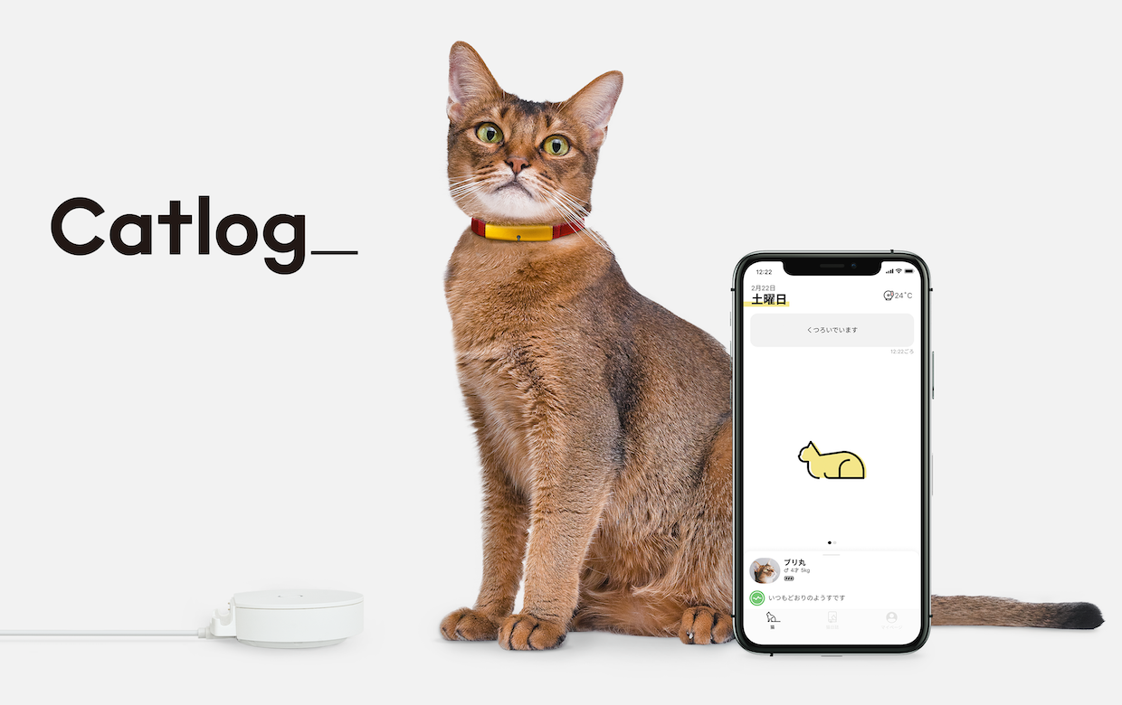 ネコの見守りデバイス＆サービス開発のRABO、13.2億円をシリーズB調達