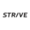 STRIVE blog